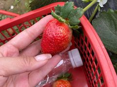 -会江钓鱼钓虾烧烤场