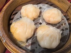-金苑海鲜酒家(新港中路店)