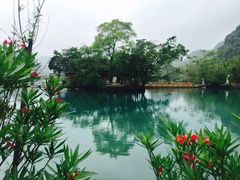 -靖西鹅泉风景区