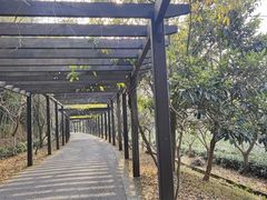 -九龙潭景区