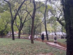 -西园戒幢律寺
