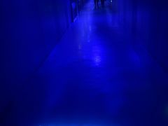 -白鹤梁水下博物馆