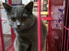 -第三空间·趣味桌游·轰趴.室内CS.剧本杀(大武汉1911店)