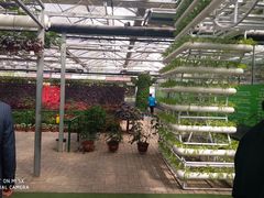 -兰陵国家农业公园