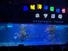-泉城欧乐堡海洋极地世界