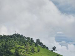 -关山草原