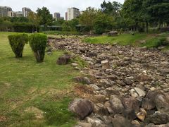 -白塘生态植物园