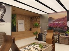 -大视光学•LINDBERG林德伯格•全球手工眼镜集合店(王府井店)