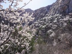 -北京凤凰岭