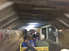 -波斯托伊纳溶洞