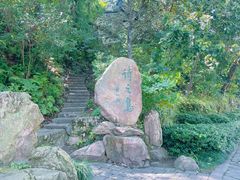-江心屿景区