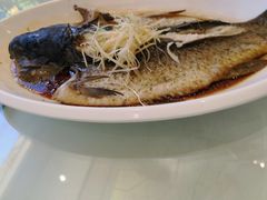 -玉雪春天(中正花园店)