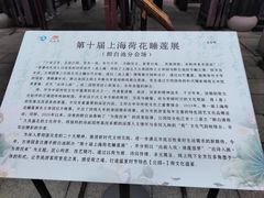 -上海醉白池公园