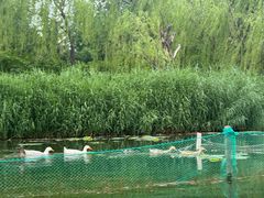 -WhaleSports户外水上运动俱乐部(朝阳公园店)