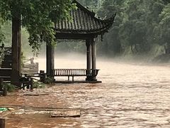 -望江饭店(13年精品店)