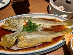 -波螺油子青岛本帮菜(银座店)