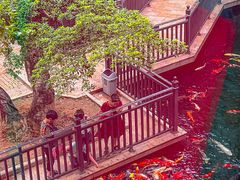-新世纪大酒楼·30年南海菜
