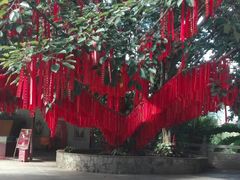 景点-西双版纳勐泐文化旅游区