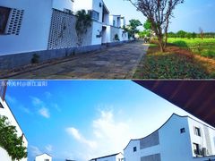 -东梓关景区村庄