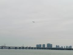 -怀德酒楼·粤菜·海鲜·茶点(宝安国际机场店)