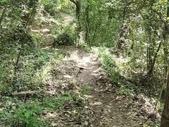 -九曜山