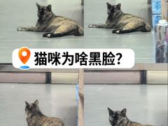 -F518时尚创意园