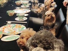 -悦庭六号餐厅(麦岛店)