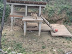 -石家庄市动物园