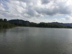 -长兴太湖图影湿地文化园