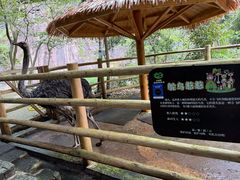 -太湖源风景区