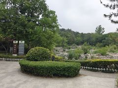 -云龙山