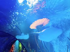 -沈阳海洋探索中心