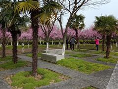 -白塘生态植物园