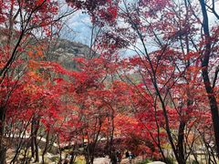 -崂山巨峰游览区