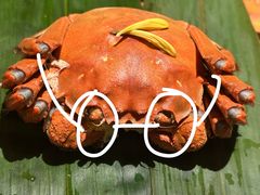 -成隆行·蟹王府(淮海店)