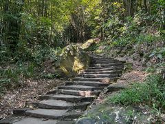 -缙云山景区