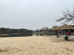 -上海佘山世茂艾美酒店