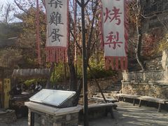 -古北烤梨