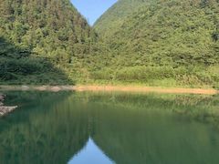 -武陵山森林公园
