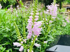 -百里峡七彩艺术小镇