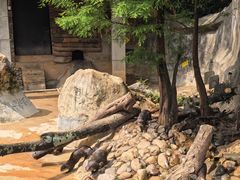 -昆明动物园