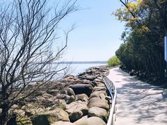 -吴淞炮台湾湿地森林公园烧烤区