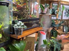 -Rabbit Cafe私房西餐甜点咖啡(栖霞路店)