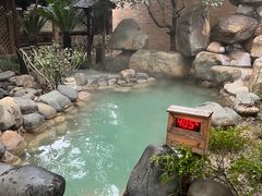 -张家港金凤凰度假村温泉