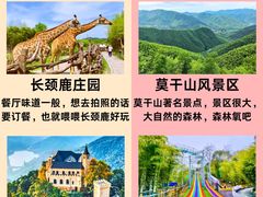 -莫干山风景区