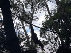 -广州长隆野生动物世界