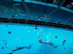 -瑞德姆美人鱼海底演艺主题餐厅(亚龙湾店)
