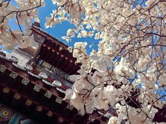 -潭柘寺景区