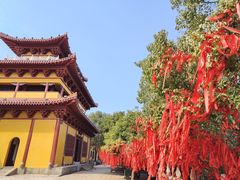 -岳阳楼景区