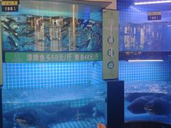 -千岛湖小鱼儿·淳安匠心农家菜